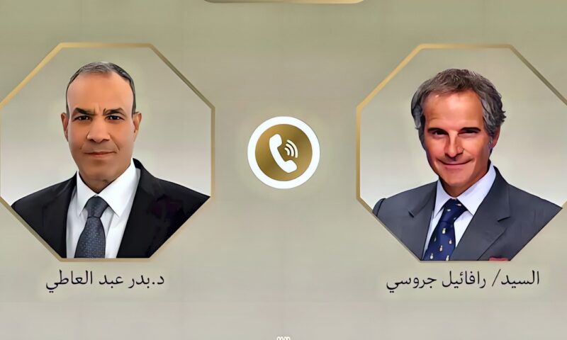وزير الخارجية يبحث مع المدير العام للوكالة الدولية للطاقة الذرية التعاون الثنائي والقضايا الإقليمية