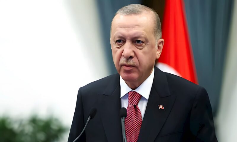 أردوغان يبلغ ترامب بجهود تركيا لحل قضايا مضيق هرمز واليمن دبلوماسيا