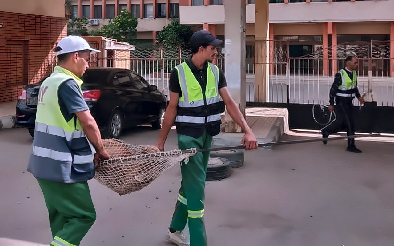 تكثيف الحملات بالمناطق الأكثر انتشارا للكلاب الضالة بالدقهلية (صور)