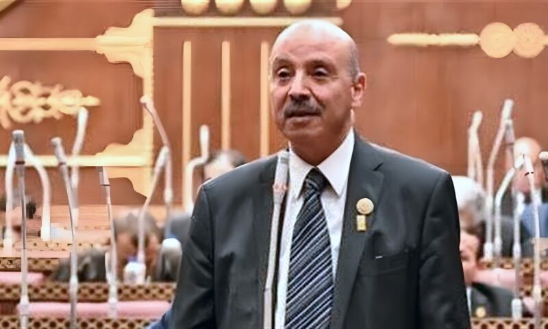 محمد طه عليوة رئيسا لـ “برلمانية المصري الديمقراطي” بمجلس الشيوخ
