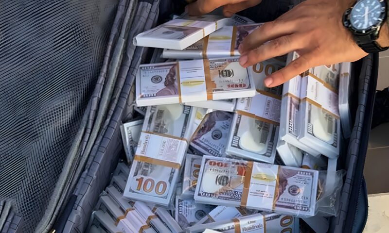 5 مشاهد ترصد شركات وسيارات تكشف محاولة غسل أموال الهجرة غير الشرعية