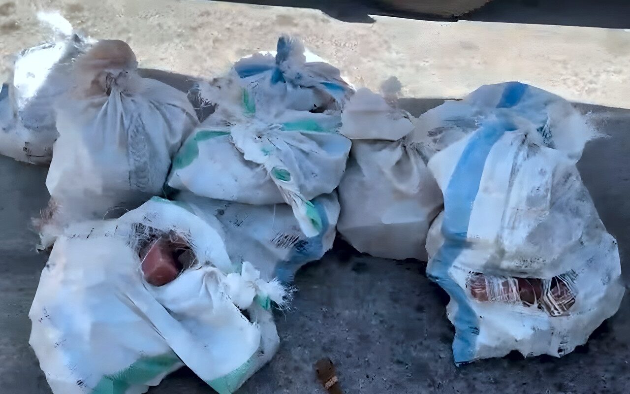 مصدر قضائي: لبنان يصدر مذكرتي إحضار بحق مسؤولَين من حزب الله 