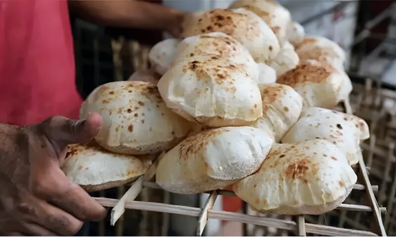 تفاصيل المنظومة التموينية بالإسكندرية، 1,200 مليون بطاقة وإنتاج 12 مليون رغيف في الصيف