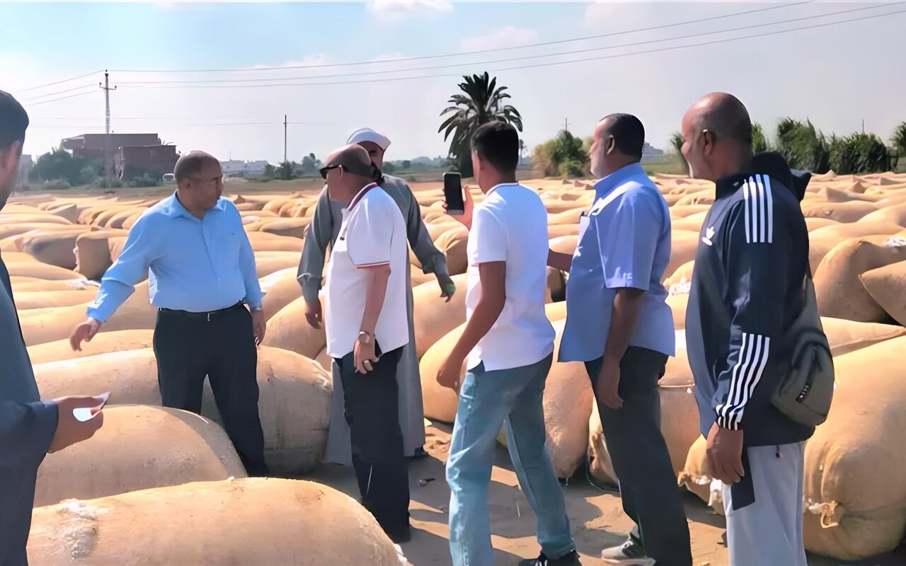 وكيل وزارة الزراعة بالإسماعيلية يتفقد مركز تجميع القطن بالبياضية لتخفيف الأعباء عن المزارعين