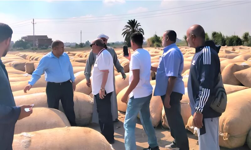 وكيل وزارة الزراعة بالإسماعيلية يتفقد مركز تجميع القطن بالبياضية لتخفيف الأعباء عن المزارعين