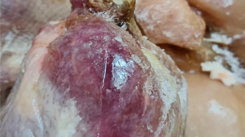 ضبط طن دواجن مجهولة المصدر ومتغيرة الخواص داخل مخزن بالعبور