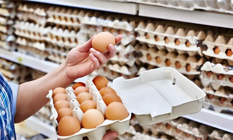تبدأ من 92 جنيها، سعر كرتونة البيض اليوم الجمعة في بورصة الدواجن