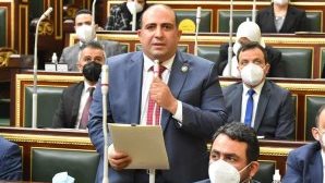 وكيل إفريقية النواب : الرئيس السيسي يحشد الموقف العربي لصون أمن الخليج ومواجهة التحديات