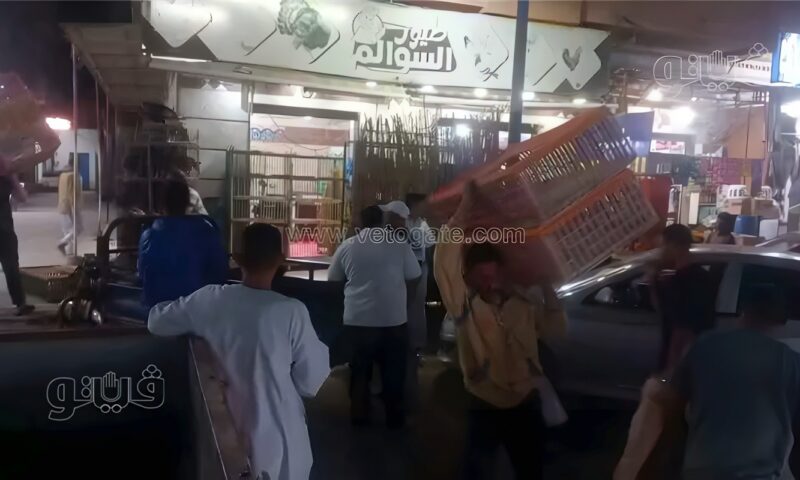 حملة مكبرة لإزالة التعديات أمام المحال والمقاهي بعدد من شوارع مطروح