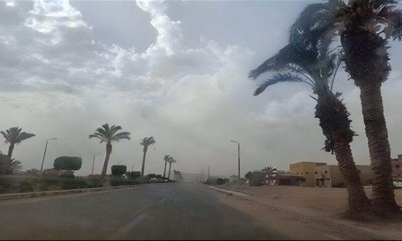 الأرصاد تحذر: شبورة كثيفة وأمطار على هذه المناطق غدا
