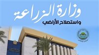 “الزراعة” تجدد تحذيرها: لا نبيع أي منتجات غذائية أونلاين.. والتعامل عبر المنافذ الرسمية فقط