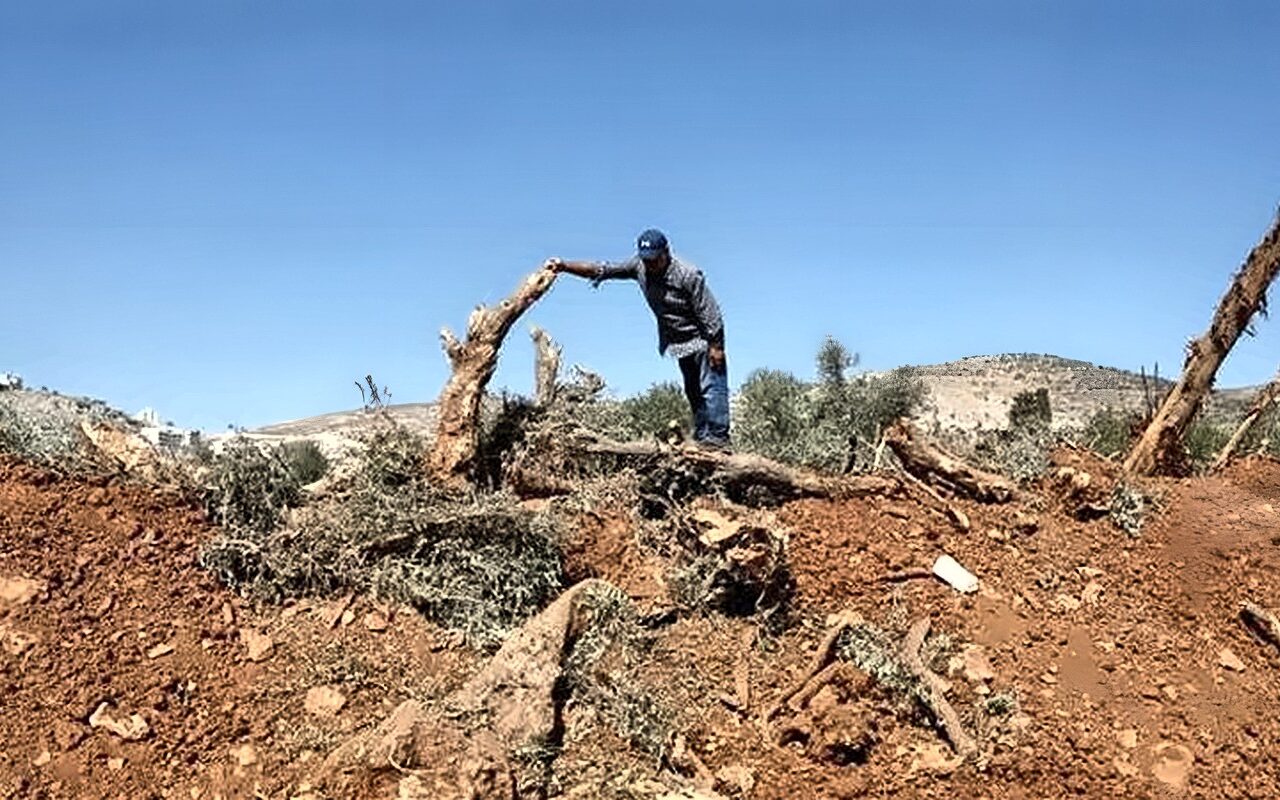 استشهاد فلسطيني في هجوم مستوطنين إسرائيليين بالضفة الغربية