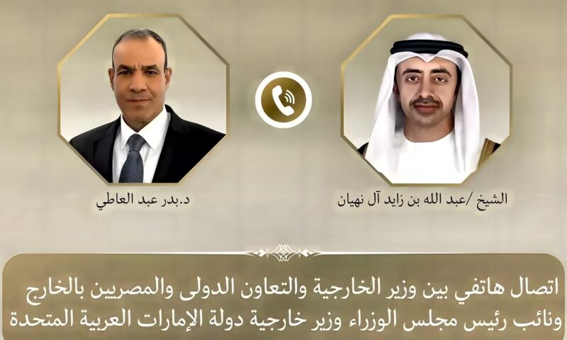 وزير الخارجية يبحث مع نظيره الإماراتي تطورات المنطقة ويحذران من التصعيد