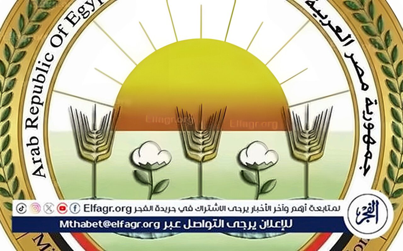 زراعة المنيا تعلن غدا بدء حملة موسعة لمكافحة القوارض عقب حصاد المحاصيل الصيفية