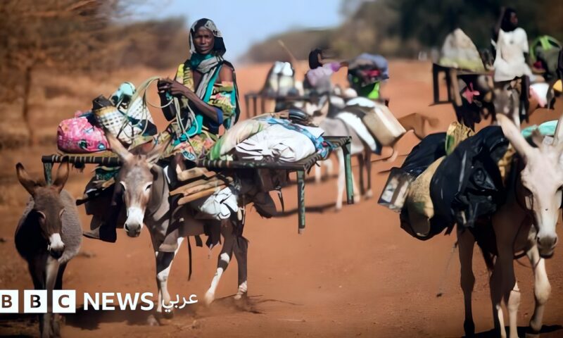 جنوب السودان يعلن مقتل العشرات وإصابة آخرين في هجوم بمسيرات على سوق بمنطقة أبيي المتنازع عليها