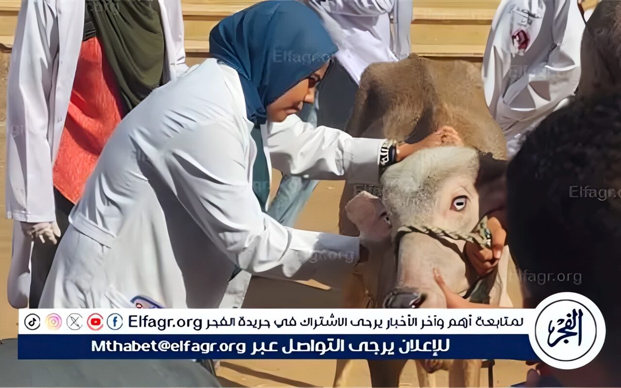 قافله بيطرية مجانية بجامعة سوهاج تعالج نحو 200 حالة بقرية الرويهب