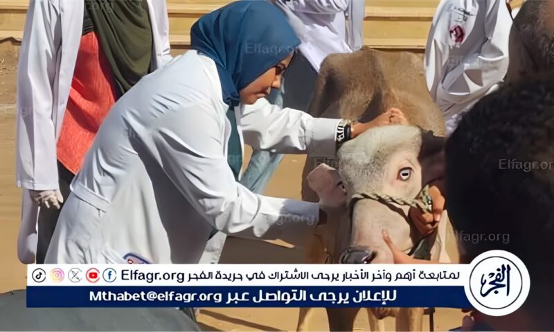 قافله بيطرية مجانية بجامعة سوهاج تعالج نحو 200 حالة بقرية الرويهب