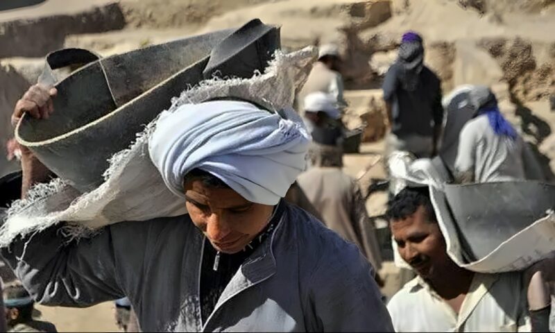تفاصيل مشروع قانون تنظيم العمالة اليومية والمؤقتة والموسمية