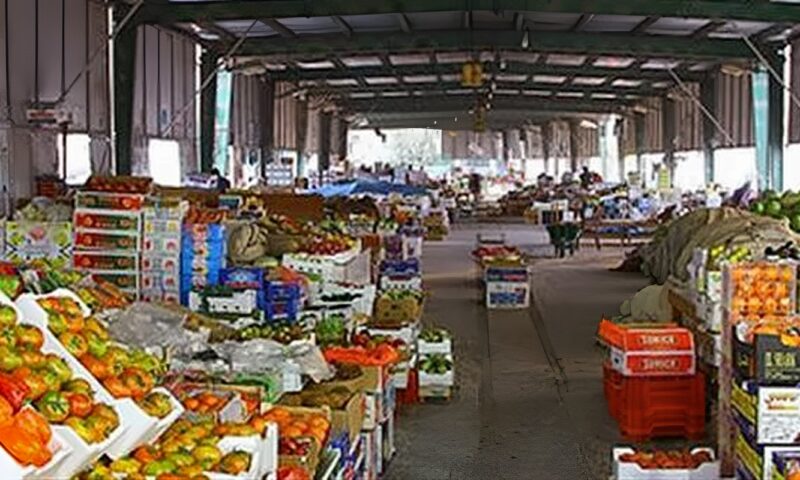 سعر الخضار والفاكهة اليوم الخميس 8 أكتوبر في مصر
