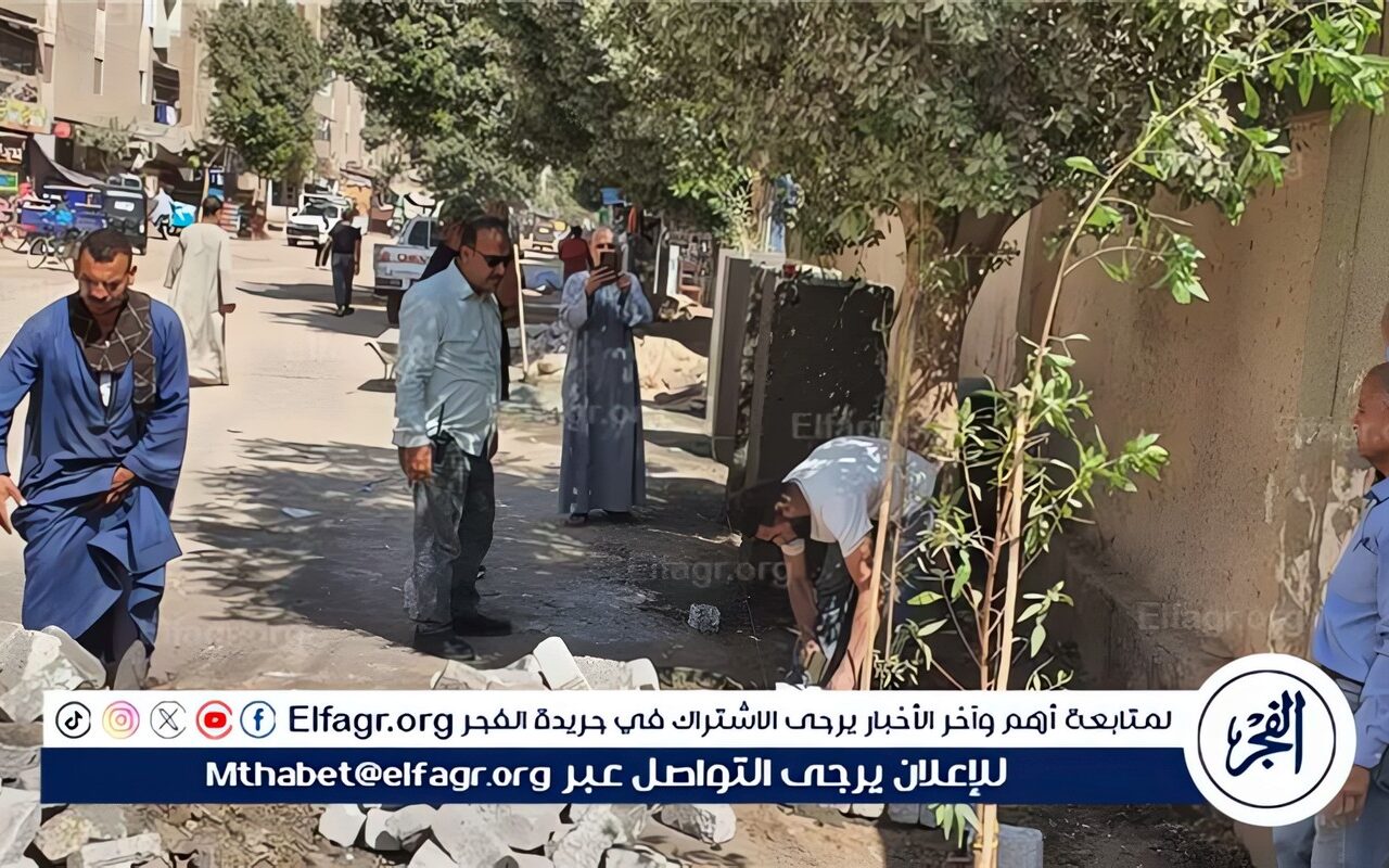 محافظ أسيوط: تشجير قرية منقباد ومتابعة منظومة الشباك الواحد بالفتح ورفع كفاءة الإنارة العامة بالدوير بصدفا
