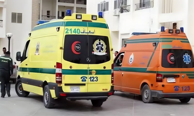 إصابة 4 أشخاص في تصادم ملاكي وربع نقل أمام منطقة منية سندوب بالمنصورة