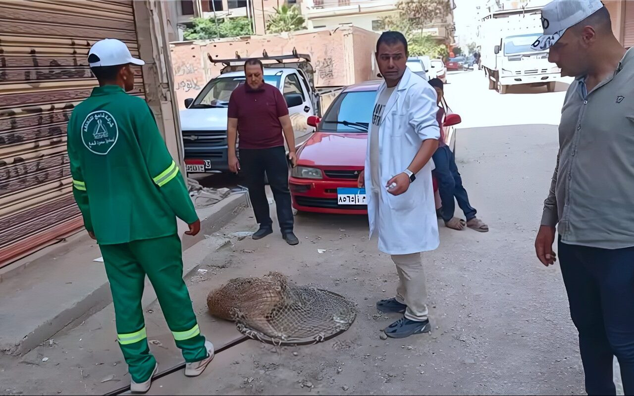 أبناؤنا في خطر، رعب المدارس يجتاح أكتوبر وقرار عاجل من النيابة بعد فاجعة الرضيعة سلسبيل