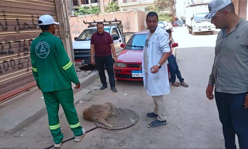 أبناؤنا في خطر، رعب المدارس يجتاح أكتوبر وقرار عاجل من النيابة بعد فاجعة الرضيعة سلسبيل