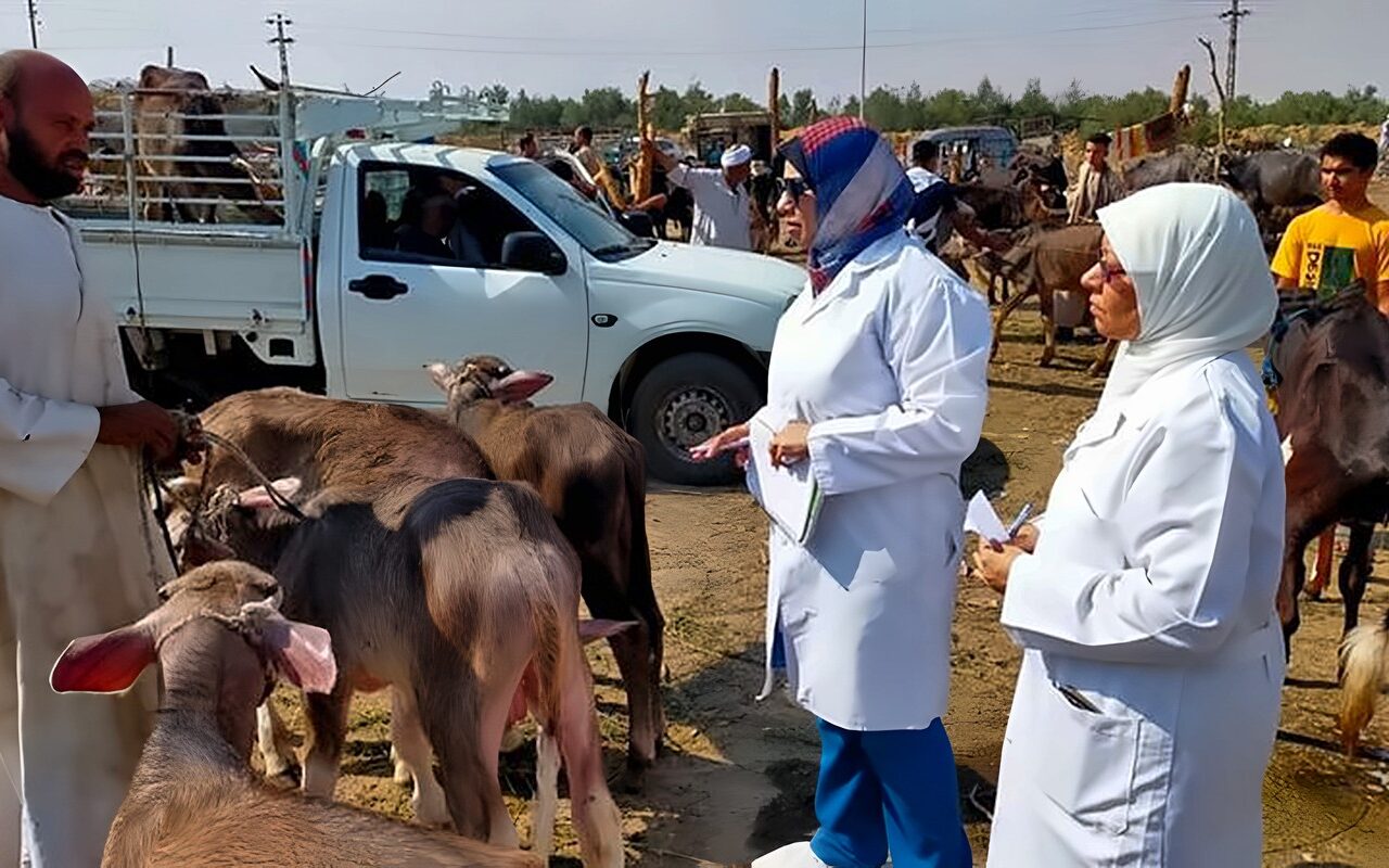 خطة للإنذار المبكر وتدريب الكوادر، الخدمات البيطرية تحذر من الأمراض العابرة للحدود