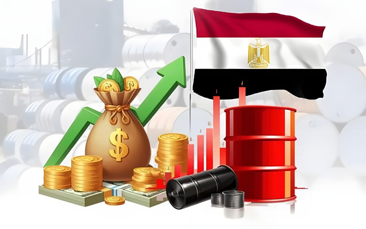 خبير اقتصادي: تعزيز مصادر النقد الأجنبي والطاقة ضرورة لمواجهة الصدمات الخارجية