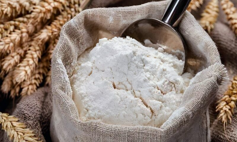 بعد شكوى مخبز دملو.. التموين تكشف حقيقة أزمة الدقيق بالقليوبية