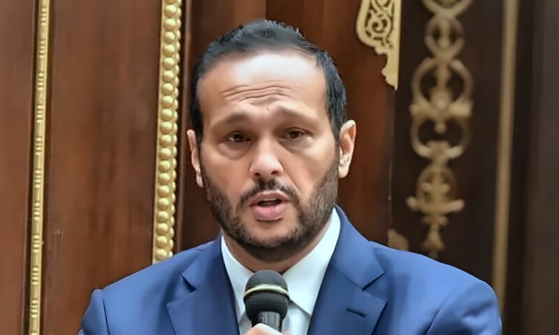 محمد حلاوة رئيسا لـ صناعة الشيوخ في دور الانعقاد الثانى
