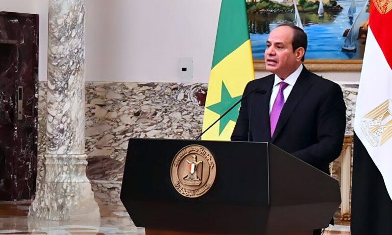 السيسي: مصر تنظر إلى مستقبل إفريقيا بثقة كبيرة.. وقارتنا لا تفتقر إلى الموارد