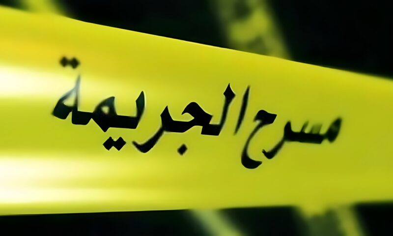 من خلافات قديمة إلى أوراق أمام المفتي، 7 مشاهد تكشف كواليس جريمة قتل مزارع في القليوبية