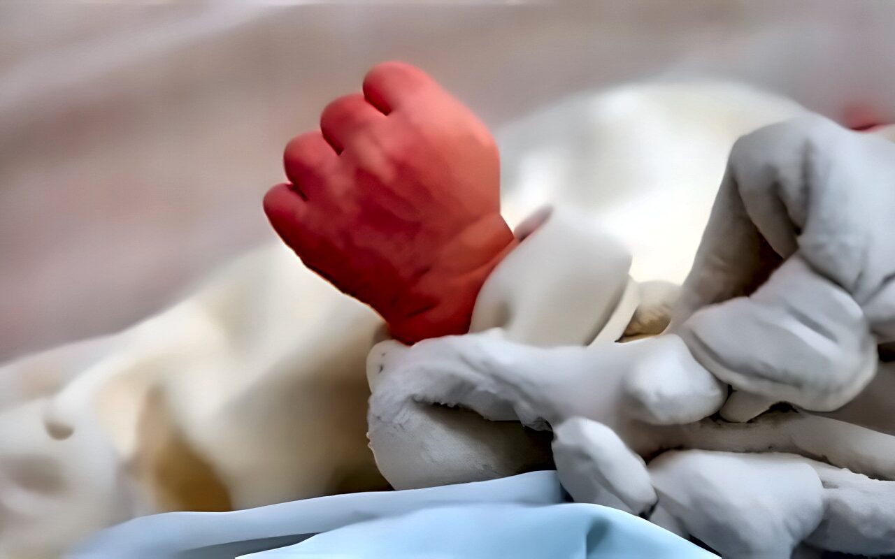 جثة رضيعة وآثار نهش حيواني، الأمن يفك لغز العثور عليها بأكتوبر