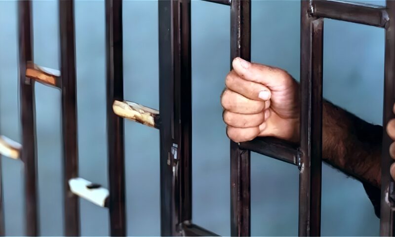 بسبب خصومة ثأرية، محاكمة 4 متهمين بقتل عامل بالجيزة غدا