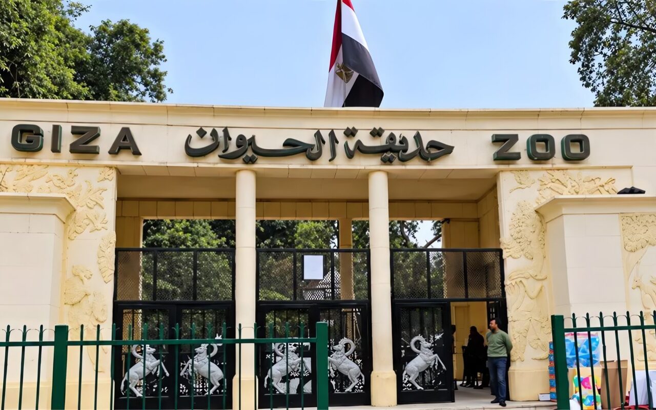 افتتاح حديقة الحيوان بالجيزة، مصادر تكشف لـ”فيتو” الموعد الجديد وتوضح حقيقة قطع الأشجار