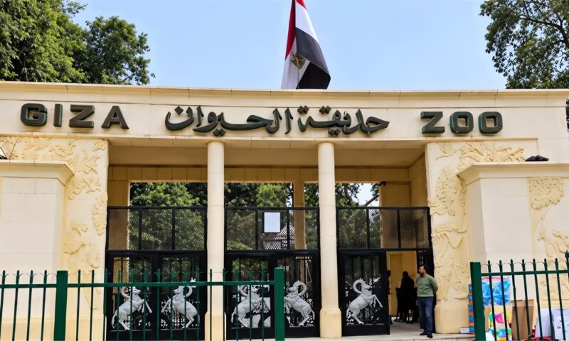 افتتاح حديقة الحيوان بالجيزة، مصادر تكشف لـ”فيتو” الموعد الجديد وتوضح حقيقة قطع الأشجار