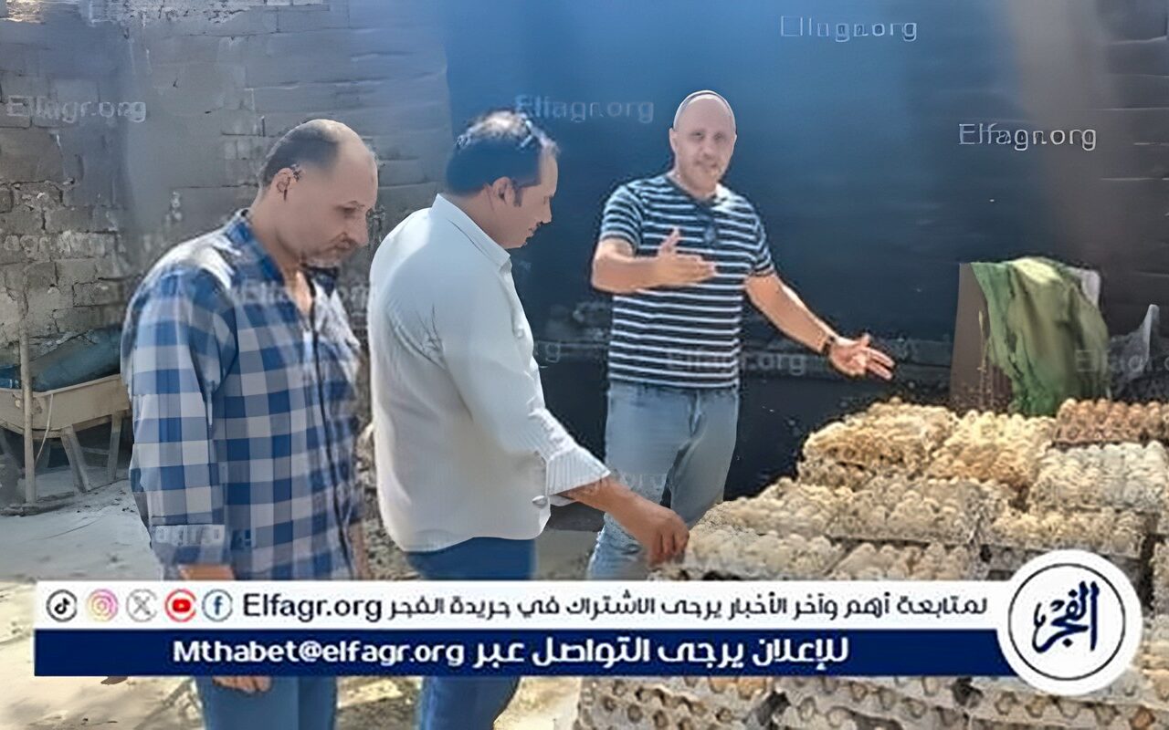 ضبط 105 آلاف بيضة فاسدة وغير صالحة للاستهلاك الآدمي قبل طرحها فى الأسواق بالغربية (صور)