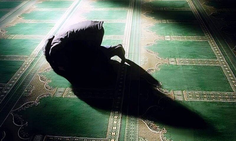 أمين الفتوى ينصح الفتيات بصلاة الاستخارة قبل الزواج