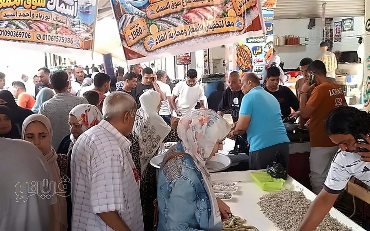 40 جنيها للكيلو، مبادرة لبيع الأسماك بأسعار مخفضة للمواطنين بالإسماعيلية (فيديو وصور)