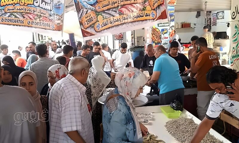 40 جنيها للكيلو، مبادرة لبيع الأسماك بأسعار مخفضة للمواطنين بالإسماعيلية (فيديو وصور)