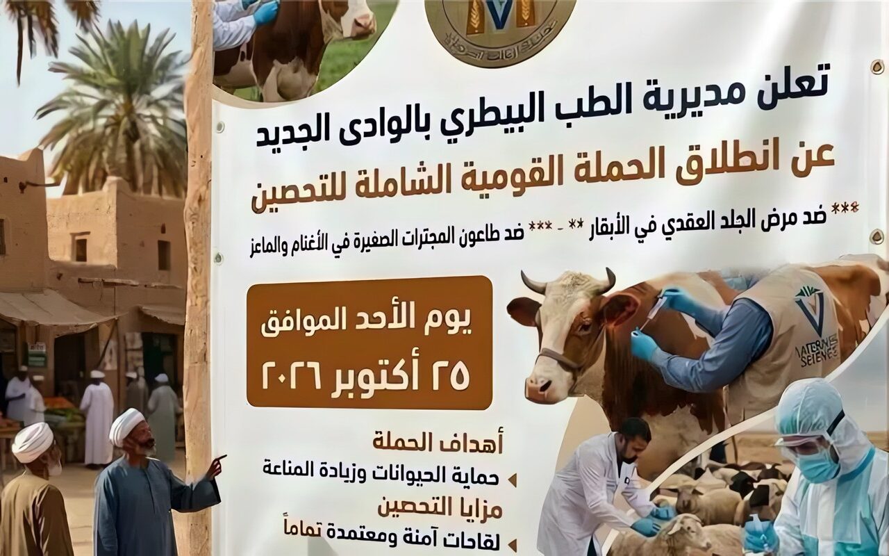 «الطب البيطري بالوادي الجديد» تطلق الحملة القومية لتحصين الأبقار والأغنام والماعز 25 أكتوبر
