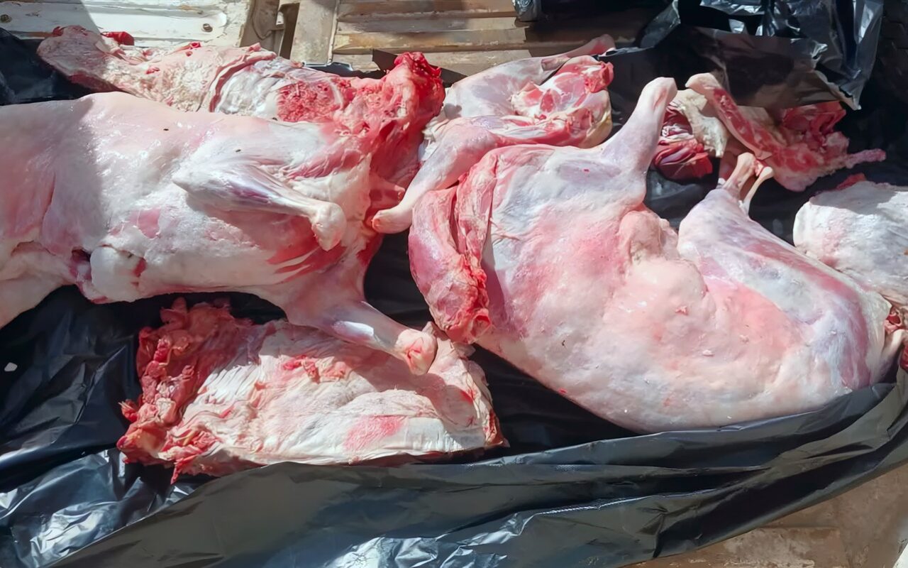 ضبط لحوم مذبوحة خارج المجازر الحكومية وغير صالحة للاستهلاك الآدمي بمدينة السادات