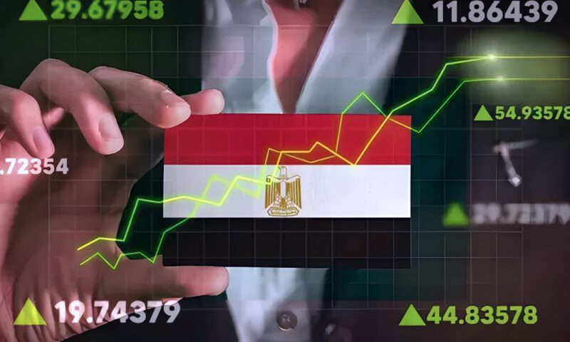 ملف.. الشركات الناشئة أمام اختبار فجوات التمويل وتحدي التوسع