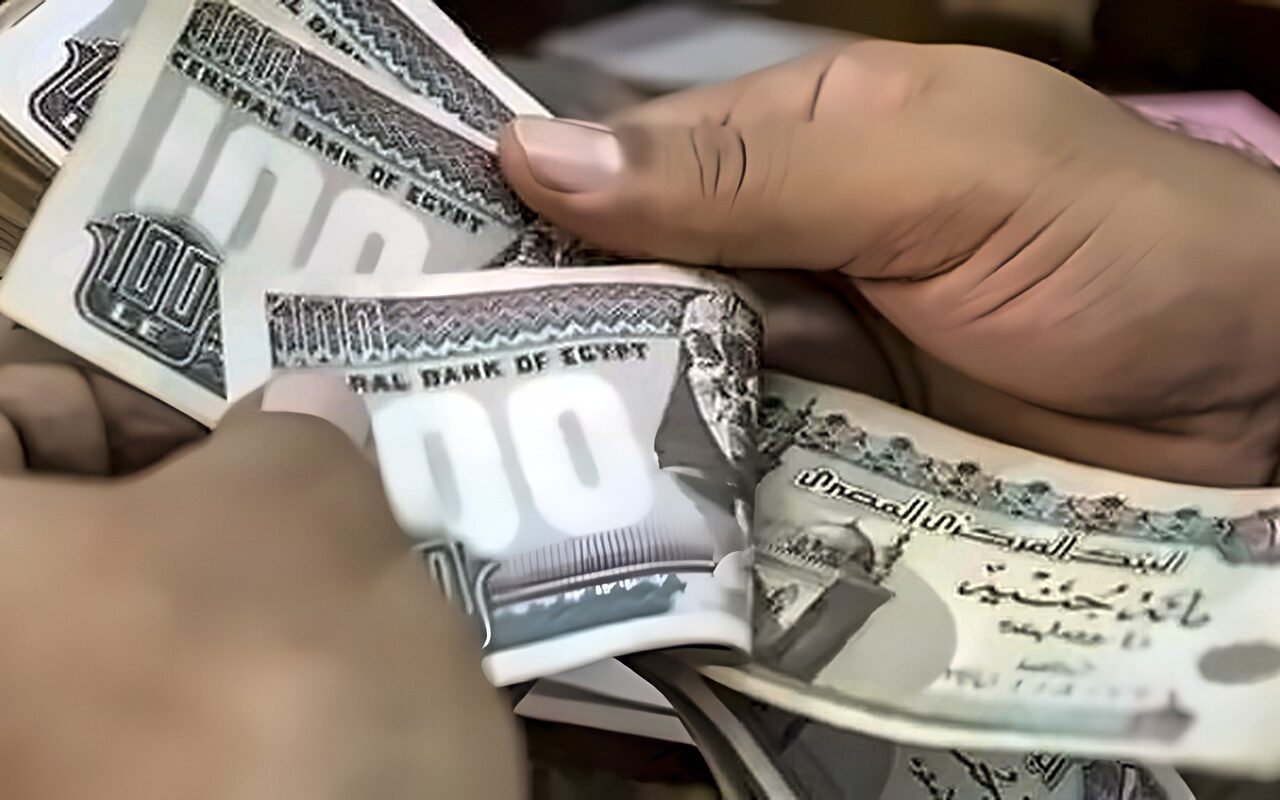 مطلوب سائقين وفنيين.. وزارة العمل تُعلن عن 550 فرصة عمل لشباب الصعيد
