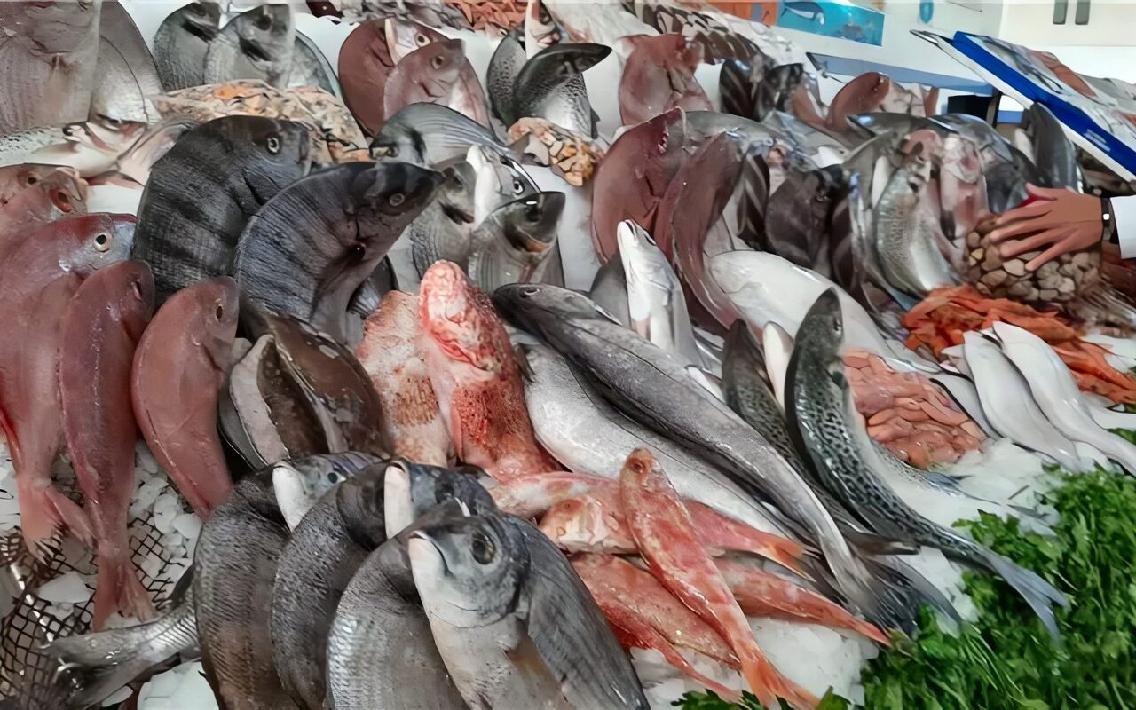 أسعار الأسماك اليوم، ارتفاع البلطي والكابوريا وانخفاض كبير في 5 أصناف منها البوري والمكرونة