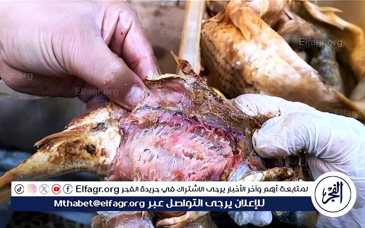ضبط وإعدام 115 كيلوجرام لحوم ودواجن في حملة مكبرة بجرجا