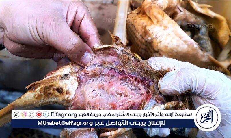 ضبط وإعدام 115 كيلوجرام لحوم ودواجن في حملة مكبرة بجرجا