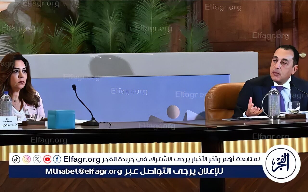 وزيرة التنمية المحلية والبيئة تستعرض جهود الوزارة حول أهمية البعد البيئي في مشروعات النقل
