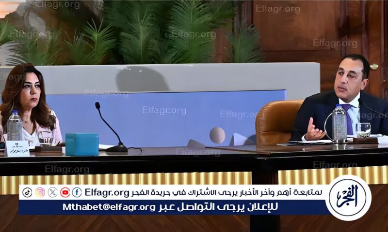 وزيرة التنمية المحلية والبيئة تستعرض جهود الوزارة حول أهمية البعد البيئي في مشروعات النقل
